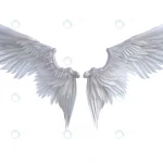 3d illustration angel wings white wing plumage is crcf73c738e size8.35mb 7680x4800 - title:Home - اورچین فایل - format: - sku: - keywords:وکتور,موکاپ,افکت متنی,پروژه افترافکت p_id:63922