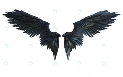 3d illustration demon wings black wing plumage is crc9729f500 size10.86mb 7680x4800 - title:graphic home - اورچین فایل - format: - sku: - keywords: p_id:353984
