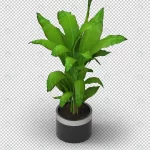- 3d plant isometric view crc406ab944 size9.92mb 1 - Home