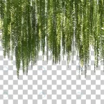 3d rendering hanging ferns foreground isolated crca53f6f2e size51.16mb - title:Home - اورچین فایل - format: - sku: - keywords:وکتور,موکاپ,افکت متنی,پروژه افترافکت p_id:63922
