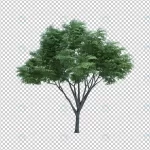 3d rendering nature object tree isolated 10 crc979f8b86 size45.32mb - title:Home - اورچین فایل - format: - sku: - keywords:وکتور,موکاپ,افکت متنی,پروژه افترافکت p_id:63922