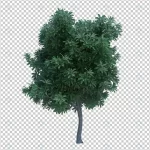 3d rendering nature object tree isolated 12 crc15f1575b size44.05mb - title:Home - اورچین فایل - format: - sku: - keywords:وکتور,موکاپ,افکت متنی,پروژه افترافکت p_id:63922