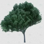 3d rendering nature object tree isolated 5 crcbe7b83b4 size72.26mb - title:Home - اورچین فایل - format: - sku: - keywords:وکتور,موکاپ,افکت متنی,پروژه افترافکت p_id:63922