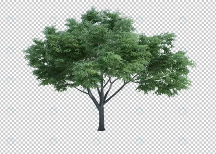 3d rendering nature object tree isolated 6 crc5810bd52 size75.54mb - title:graphic home - اورچین فایل - format: - sku: - keywords: p_id:353984