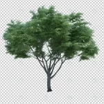 3d rendering nature object tree isolated 7 crc6cce3048 size65.53mb - title:Home - اورچین فایل - format: - sku: - keywords:وکتور,موکاپ,افکت متنی,پروژه افترافکت p_id:63922