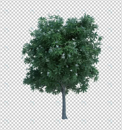 3d rendering nature object tree isolated 9 crce78a62c8 size46.85mb - title:graphic home - اورچین فایل - format: - sku: - keywords: p_id:353984