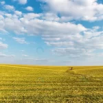 - agricultural field winter crops spring farm land crc76c51bdb size26.03mb 8000x3801 1 - Home