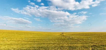 agricultural field winter crops spring farm land crc76c51bdb size26.03mb 8000x3801 1 - title:graphic home - اورچین فایل - format: - sku: - keywords: p_id:353984
