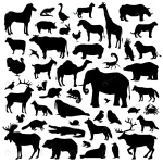 animals suilhouette big set crc29b94179 size1.50mb - title:Home - اورچین فایل - format: - sku: - keywords:وکتور,موکاپ,افکت متنی,پروژه افترافکت p_id:63922