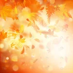 autumn background with natural leaves bright sunli rnd719 frp8016652 - title:Home - اورچین فایل - format: - sku: - keywords:وکتور,موکاپ,افکت متنی,پروژه افترافکت p_id:63922