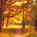 autumn forest with century old oak trees spreadin crc1abc408d size9.72mb 6000x4000 - title:Home - اورچین فایل - format: - sku: - keywords:وکتور,موکاپ,افکت متنی,پروژه افترافکت p_id:63922