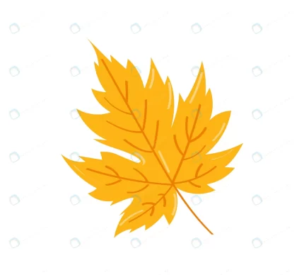 autumn leaf white background vector illustration rnd400 frp29980320 - title:graphic home - اورچین فایل - format: - sku: - keywords: p_id:353984