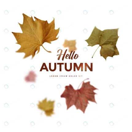 autumn leaves card rnd583 frp5593211 - title:graphic home - اورچین فایل - format: - sku: - keywords: p_id:353984