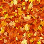 autumn leaves texture rnd282 frp8709275 - title:Home - اورچین فایل - format: - sku: - keywords:وکتور,موکاپ,افکت متنی,پروژه افترافکت p_id:63922