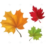 autumn maple leaves set red orange green colored f rnd853 frp12916189 - title:Home - اورچین فایل - format: - sku: - keywords:وکتور,موکاپ,افکت متنی,پروژه افترافکت p_id:63922