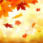autumn realistic background theme crc1e05d959 size11.44mb - title:Home - اورچین فایل - format: - sku: - keywords:وکتور,موکاپ,افکت متنی,پروژه افترافکت p_id:63922