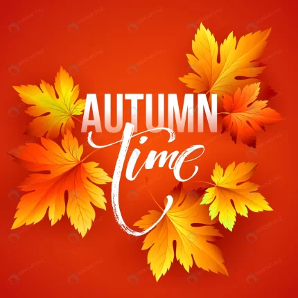 autumn time seasonal banner design fall leaf vect crc717c62de size3.01mb - title:graphic home - اورچین فایل - format: - sku: - keywords: p_id:353984