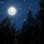 - backgrounds night sky with stars moon clouds elem crc1c9ad307 size2.46mb 5000x3333 - Home