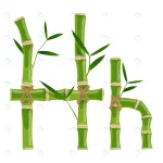- bamboo letter h with young shoots with leaves eco crcc639da14 size3.23mb - Home