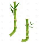 - bamboo letter j with young shoots with leaves eco crcf16aca56 size1.62mb - Home