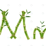 bamboo letter m with young shoots with leaves eco crc260cc610 size3.64mb - title:Home - اورچین فایل - format: - sku: - keywords:وکتور,موکاپ,افکت متنی,پروژه افترافکت p_id:63922