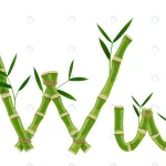 bamboo letter w with young shoots with leaves eco crc998c3356 size3.92mb - title:Home - اورچین فایل - format: - sku: - keywords:وکتور,موکاپ,افکت متنی,پروژه افترافکت p_id:63922