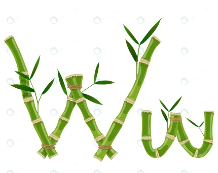 bamboo letter w with young shoots with leaves eco crc998c3356 size3.92mb - title:graphic home - اورچین فایل - format: - sku: - keywords: p_id:353984