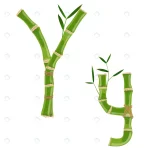 bamboo letter y with young shoots with leaves eco crcbf72adca size2.64mb - title:Home - اورچین فایل - format: - sku: - keywords:وکتور,موکاپ,افکت متنی,پروژه افترافکت p_id:63922