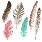 beautiful colorful feather collection crca75f2f41 size7.55mb 1 - title:Home - اورچین فایل - format: - sku: - keywords:وکتور,موکاپ,افکت متنی,پروژه افترافکت p_id:63922