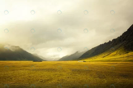 beautiful golden field with amazing cloudy crc43245341 size8.92mb 5790x3860 - title:graphic home - اورچین فایل - format: - sku: - keywords: p_id:353984