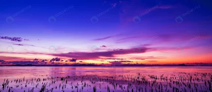 beautiful light sunset sunrise sea scenery nature crc00d840e1 size16.71mb 7913x3460 - title:graphic home - اورچین فایل - format: - sku: - keywords: p_id:353984