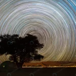 beautiful night landscape star trails quiver tree crc2a0038aa size37.70mb 6000x4000 - title:Home - اورچین فایل - format: - sku: - keywords:وکتور,موکاپ,افکت متنی,پروژه افترافکت p_id:63922