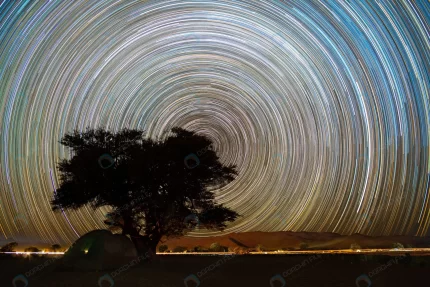 beautiful night landscape star trails quiver tree crc2a0038aa size37.70mb 6000x4000 - title:graphic home - اورچین فایل - format: - sku: - keywords: p_id:353984