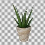 - beautiful plant 3d rendering isolated transparent crc7ce6a182 size10.38mb 1 - Home