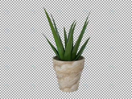 beautiful plant 3d rendering isolated transparent crc7ce6a182 size10.38mb 1 - title:graphic home - اورچین فایل - format: - sku: - keywords: p_id:353984