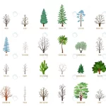 big vector cartoon set with winter trees isolated crc2dedb092 size3.88mb - title:Home - اورچین فایل - format: - sku: - keywords:وکتور,موکاپ,افکت متنی,پروژه افترافکت p_id:63922