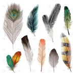 bird realistic feathers set crc30ba705e size12.43mb 1 - title:Home - اورچین فایل - format: - sku: - keywords:وکتور,موکاپ,افکت متنی,پروژه افترافکت p_id:63922
