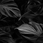 - black monstera leaves background wallpaper crc03165e2a size7.21mb 5000x3333 1 scaled 2 - Home