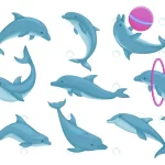 blue dolphins jumping swimming set cute water ani crc64c9996d size1.62mb - title:Home - اورچین فایل - format: - sku: - keywords:وکتور,موکاپ,افکت متنی,پروژه افترافکت p_id:63922