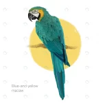blue yellow macaw hand drawn painting crc40bc1bf6 size5.52mb 1 - title:Home - اورچین فایل - format: - sku: - keywords:وکتور,موکاپ,افکت متنی,پروژه افترافکت p_id:63922