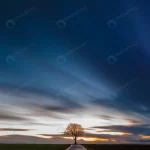 - breathtaking view tree middle grassy field with b crc0ba01d71 size7.99mb 7360x4341 - Home