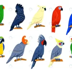 bright tropical parrots set crc70bef36f size1.66mb - title:Home - اورچین فایل - format: - sku: - keywords:وکتور,موکاپ,افکت متنی,پروژه افترافکت p_id:63922
