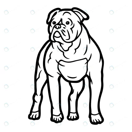bulldog coloring pages kids rnd527 frp24609363 - title:graphic home - اورچین فایل - format: - sku: - keywords: p_id:353984