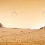 camel sandy desert near pyramids sunset crc7cc653c1 size16.49mb 10000x2969 - title:Home - اورچین فایل - format: - sku: - keywords:وکتور,موکاپ,افکت متنی,پروژه افترافکت p_id:63922
