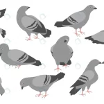cartoon pigeons flat icon set crc9771be53 size1.36mb 1 - title:Home - اورچین فایل - format: - sku: - keywords:وکتور,موکاپ,افکت متنی,پروژه افترافکت p_id:63922
