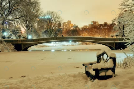 central park winter with frozen lake chair night crc26b3f191 size13.21mb 5094x3400 - title:graphic home - اورچین فایل - format: - sku: - keywords: p_id:353984