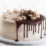 chocolate cake with fudge drizzled icing curls crc6634b3c3 size5.97mb 5184x3456 - title:Home - اورچین فایل - format: - sku: - keywords:وکتور,موکاپ,افکت متنی,پروژه افترافکت p_id:63922