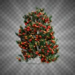 - christmas tree with ball 1.webp crcc09aa589 size21.27mb 1 - Home