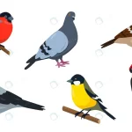 - city birds set bullfinch sparrow tit woodpecker p crc39adf065 size0.66mb 1 - Home