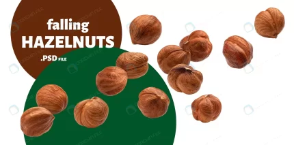 close up falling hazelnuts isolated crc8d83658f size12.27mb - title:graphic home - اورچین فایل - format: - sku: - keywords: p_id:353984